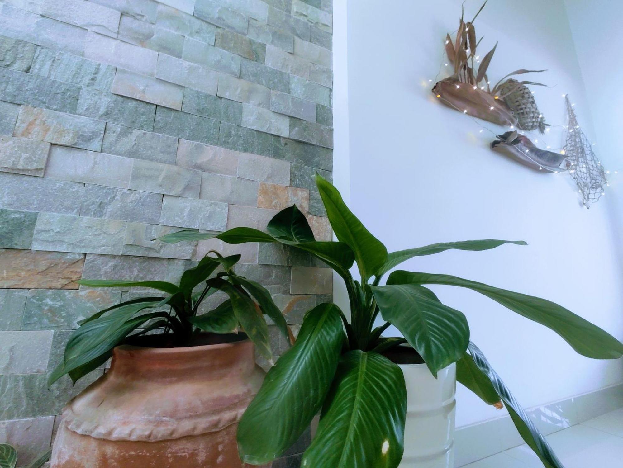 Nạp Homestay Kinh Dinh Ngoại thất bức ảnh